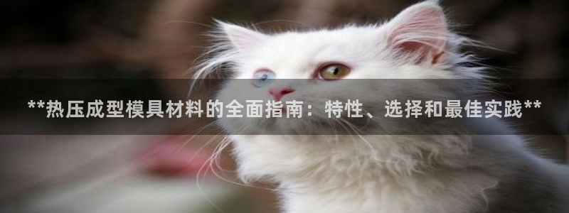 易倍申不良反应：**热压成型模具材料的全面指南：特性、选
