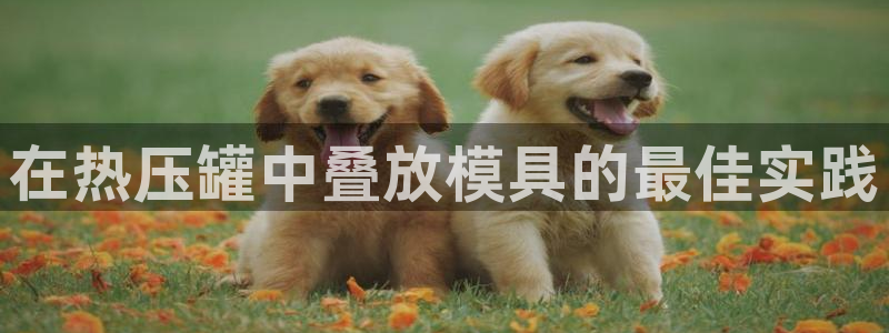 emc易倍黑吗：在热压罐中叠放模具的最佳实践
