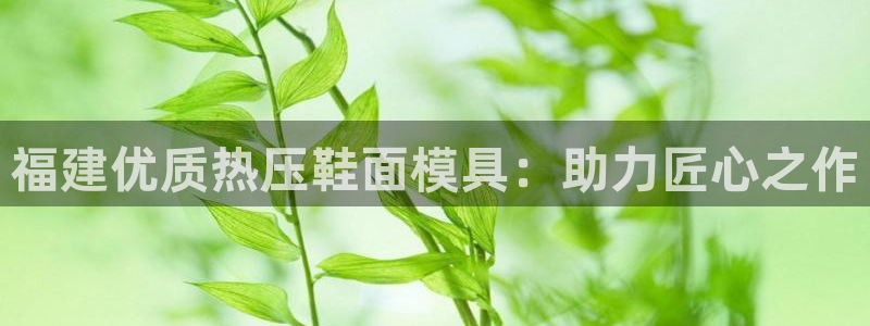 上海易倍投资有限公司：福建优质热压鞋面模具：助力匠心之作