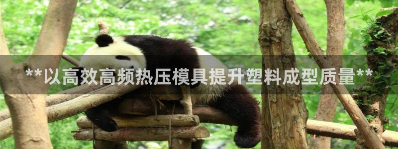 易倍纤代餐奶昔怎么样：**以高效高频热压模具提升塑料成型
