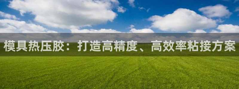 易倍申片说明书：模具热压胶：打造高精度、高效率粘接方案