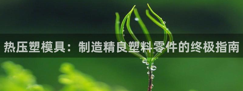 杭州易倍达科技有限公司怎么样：热压塑模具：制造精良塑料零
