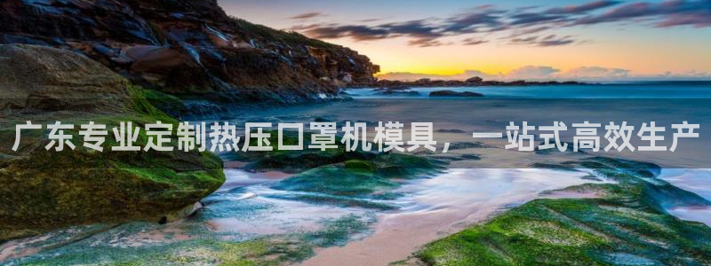 EMC倍频原理：广东专业定制热压口罩机模具，一站式高效生