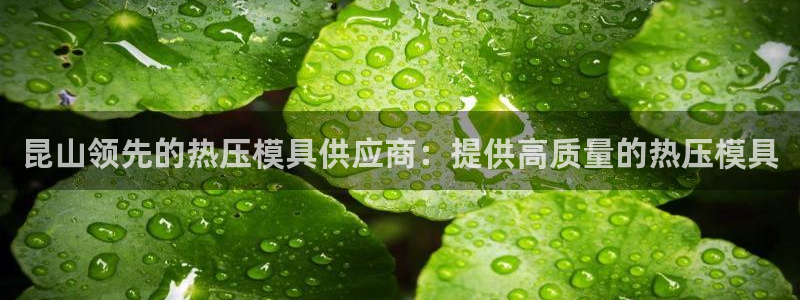 易倍emc全站：昆山领先的热压模具供应商：提供高质量的热