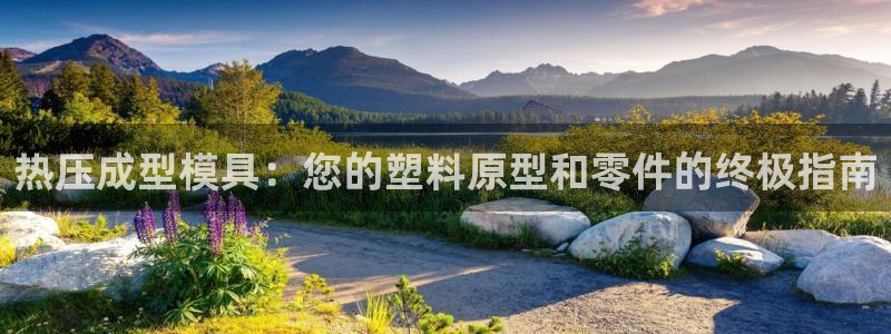 emc易倍官网首页：热压成型模具：您的塑料原型和零件的终