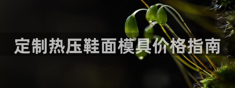 emc易倍老板