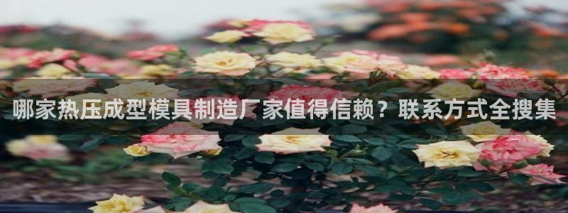 易倍申多少钱一盒