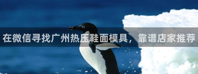 易倍申上市时间