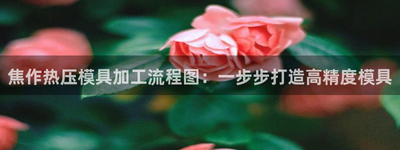 易倍申厂家