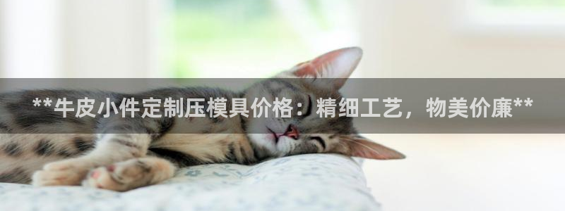 易倍达科技有限公司：**牛皮小件定制压模具价格：精细工艺