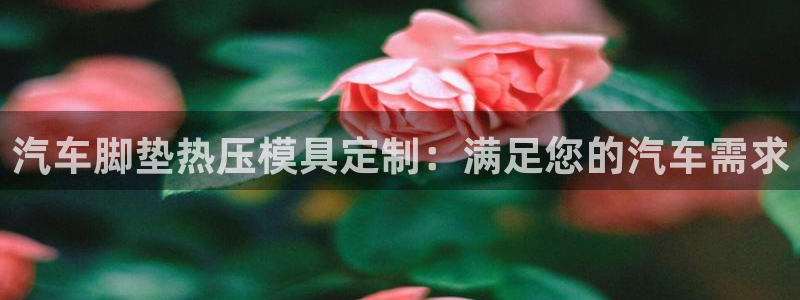 易倍纤减肥反弹不：汽车脚垫热压模具定制：满足您的汽车需求