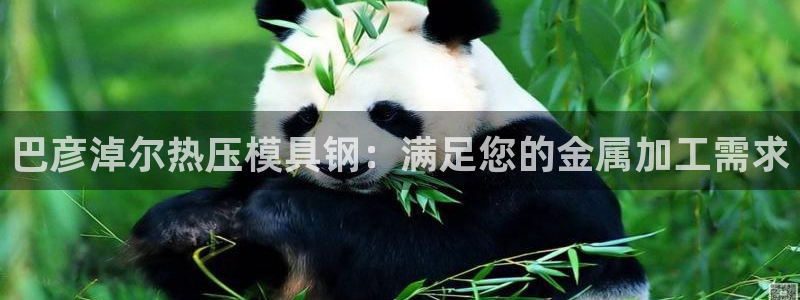 易倍emc网址