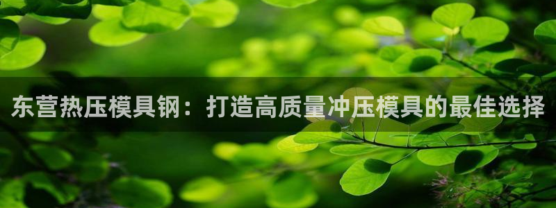emc易倍官网app官网：东营热压模具钢：打造高质量冲压