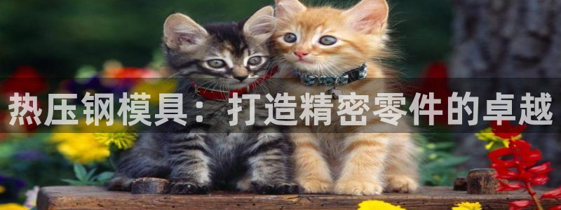 emc全站ag：热压钢模具：打造精密零件的卓越