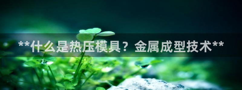 emc服务器是干啥的：**什么是热压模具？金属成型技术*