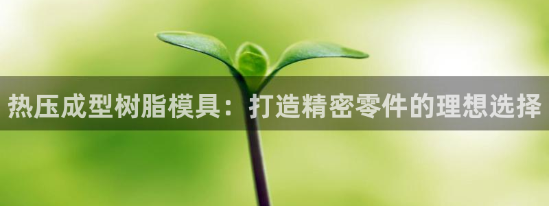 易倍app官网下载安装：热压成型树脂模具：打造精密零件的
