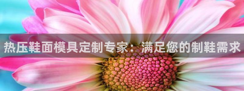 emc全站网页版
