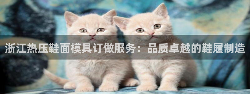 EMC倍频是什么意思：浙江热压鞋面模具订做服务：品质卓越