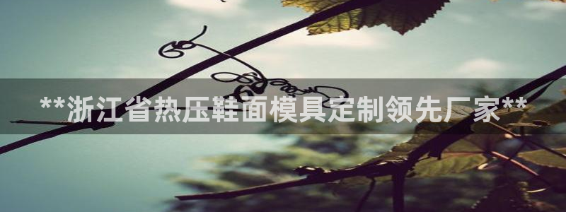 emc服务器是什么：**浙江省热压鞋面模具定制领先厂家*