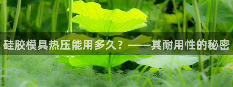 易倍申片的副作用：硅胶模具热压能用多久？——其耐用性的秘