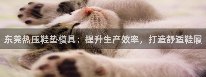 易倍申片的功效与作用