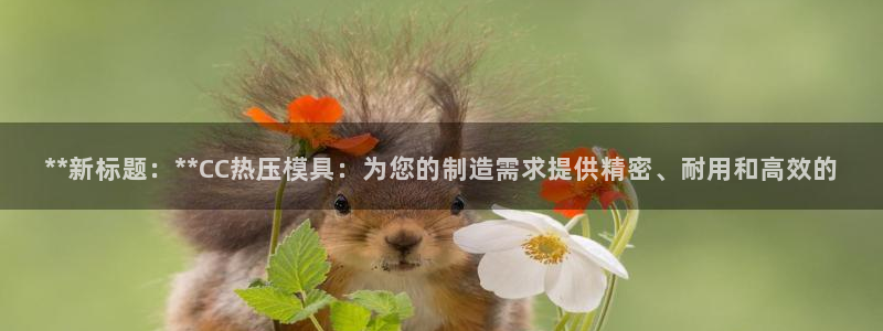 emc易倍官网首页：**新标题：**CC热压模具：为您的