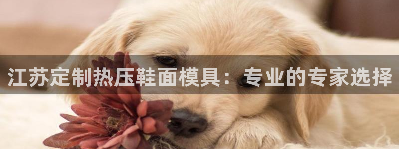 易倍单词如何下载：江苏定制热压鞋面模具：专业的专家选择