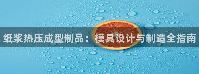 易倍易趣网：纸浆热压成型制品：模具设计与制造全指南