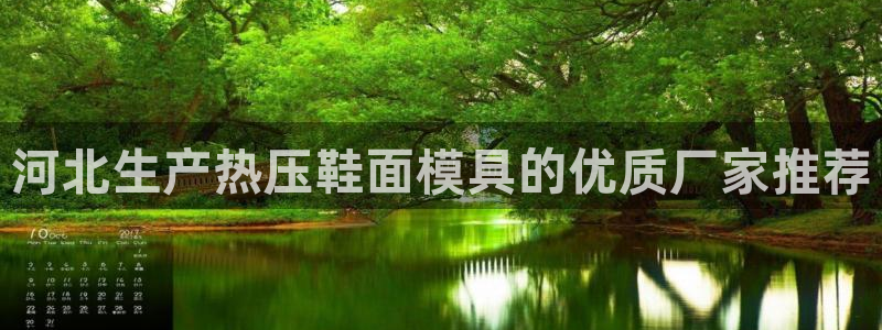 易倍纤多少钱：河北生产热压鞋面模具的优质厂家推荐