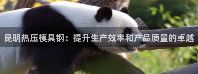 易倍网页版登录：昆明热压模具钢：提升生产效率和产品质量的