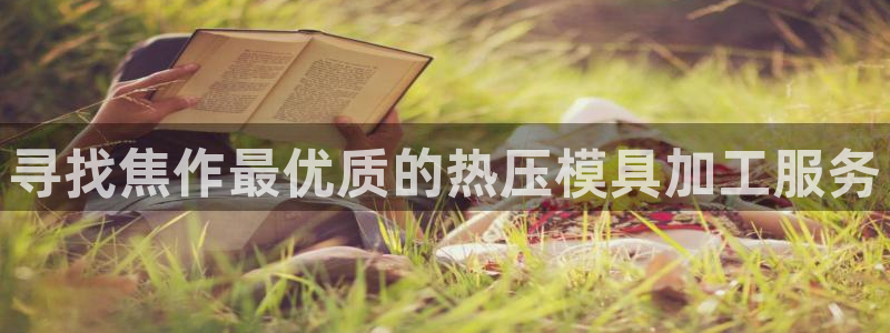 emc备份软件：寻找焦作最优质的热压模具加工服务