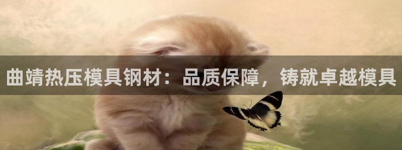 emc32软件