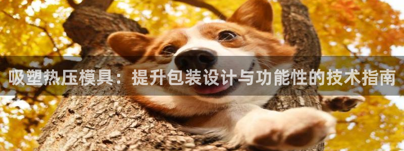 易倍申安理申区别：吸塑热压模具：提升包装设计与功能性的技