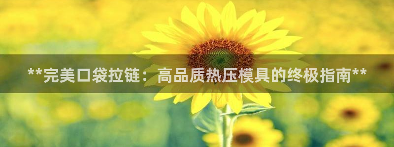 易倍app官网下载安装：**完美口袋拉链：高品质热压模具