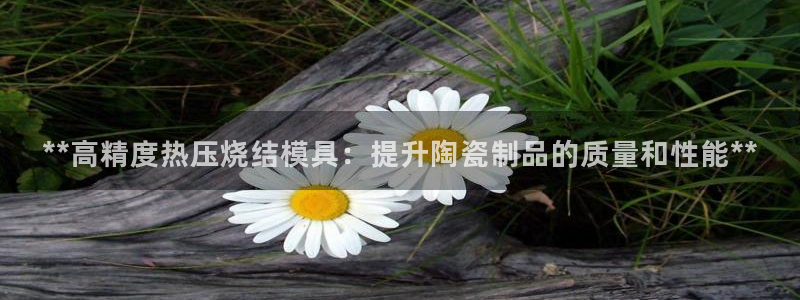 Emc易赔体育：**高精度热压烧结模具：提升陶瓷制品的质