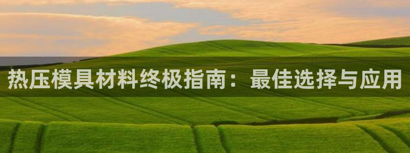 易倍达科技有限公司怎么样：热压模具材料终极指南：最佳选择