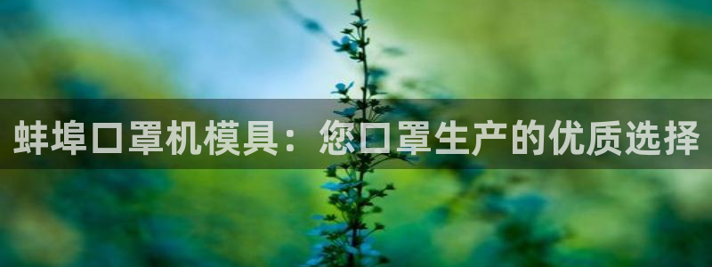 易倍全站：蚌埠口罩机模具：您口罩生产的优质选择