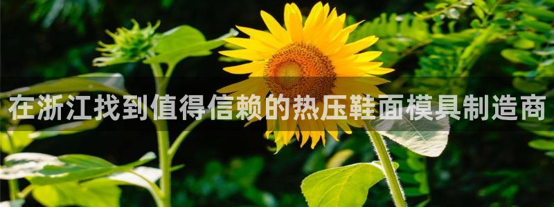 EMC倍频原理：在浙江找到值得信赖的热压鞋面模具制造商