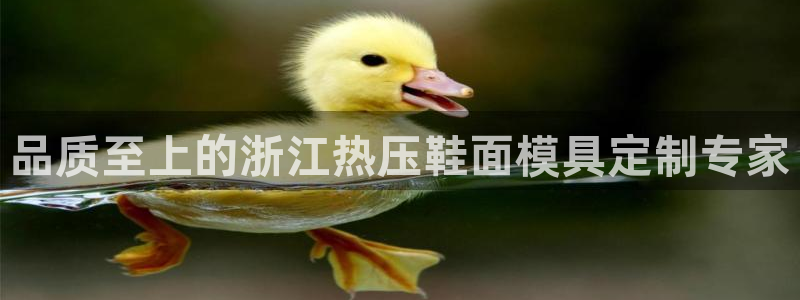 易倍申上市时间