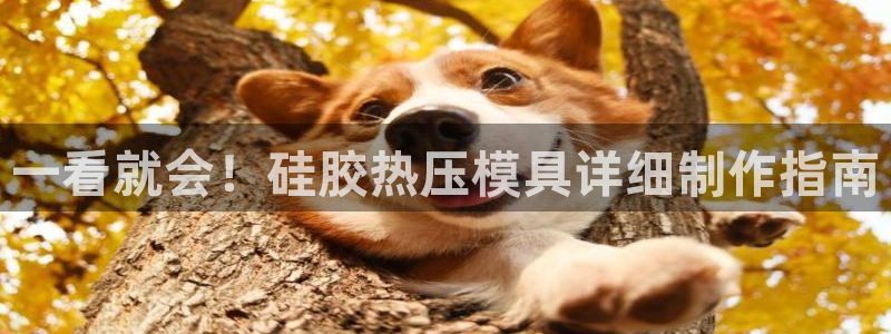 emcapp下载普通下载