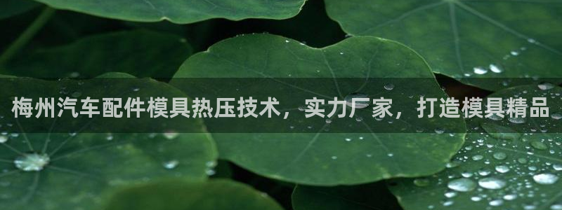 EMC倍频系数