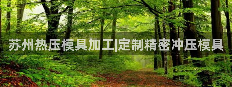 易倍纤酵素效果好吗：苏州热压模具加工|定制精密冲压模具