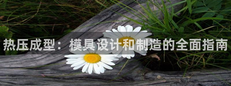 EMC易倍官方平台：热压成型：模具设计和制造的全面指南