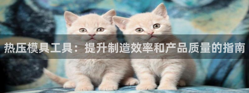 易倍纤能减肥吗