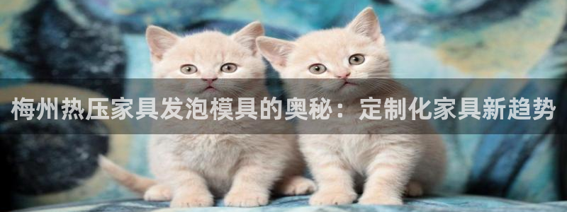 易倍单词如何下载