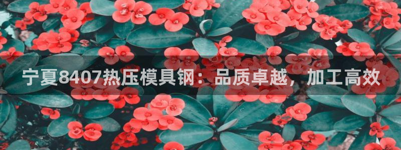 emc易倍官网登录入口