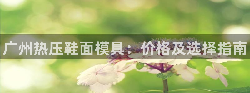 易倍emc全站