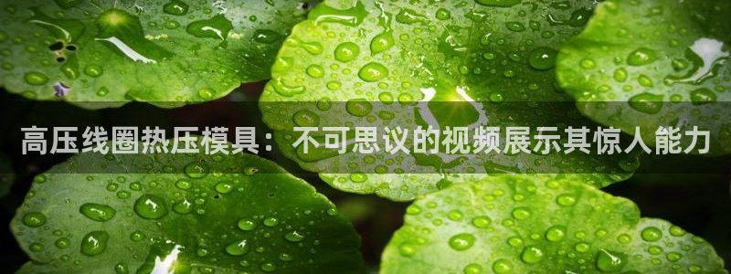 emc易倍黑吗