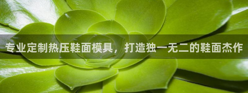 易倍申多少钱一盒