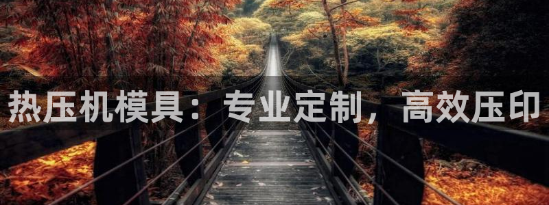 易倍EMC网址：热压机模具：专业定制，高效压印